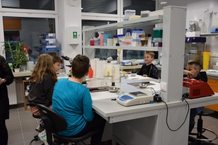 Zdjęcia z akcji Noc Biologów 2023. Kliknij, aby powiększyć zdjęcie.