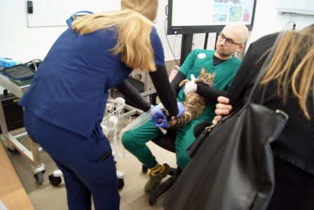 Dzień Otwarty Wydziału 2023 [fot. Łukasz Czarnecki]