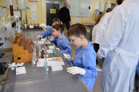 TFNiS 2024 - Chemiczny sezam [fot. Magdalena Barwiołek]