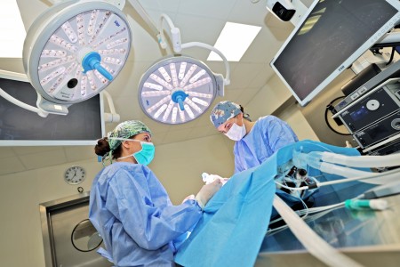 Diagnostyka weterynaryjna [fot. Andrzej Romański]