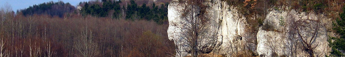 obrazek nr 4