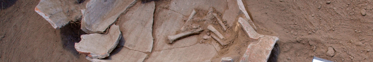 obrazek nr 4