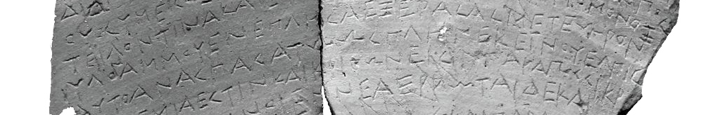 obrazek nr 6