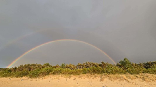 Click to zoom the picture.
