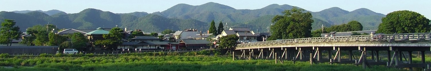 obrazek nr 10