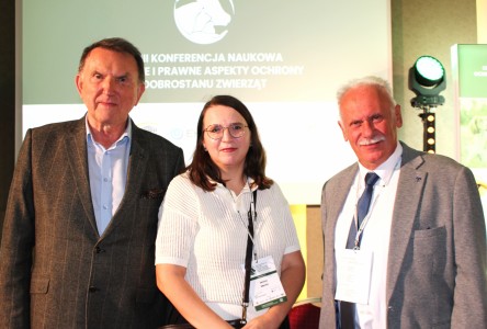 Kliknij, aby powiększyć zdjęcie.