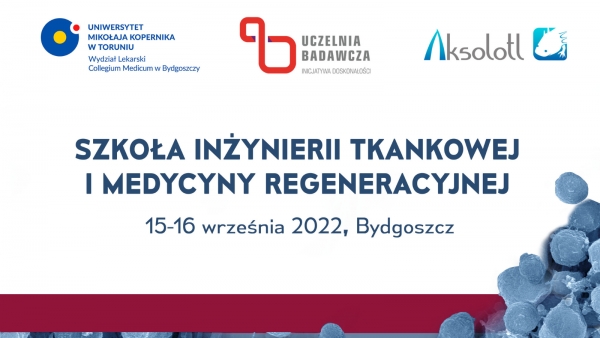 szkielet człowieka z przekrojem 