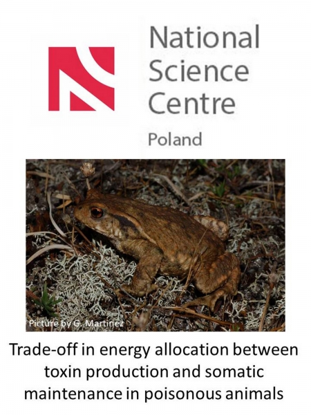 Zdjęcie ilustracyjne