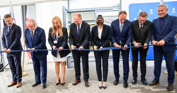 Zdjęcie ilustracyjne